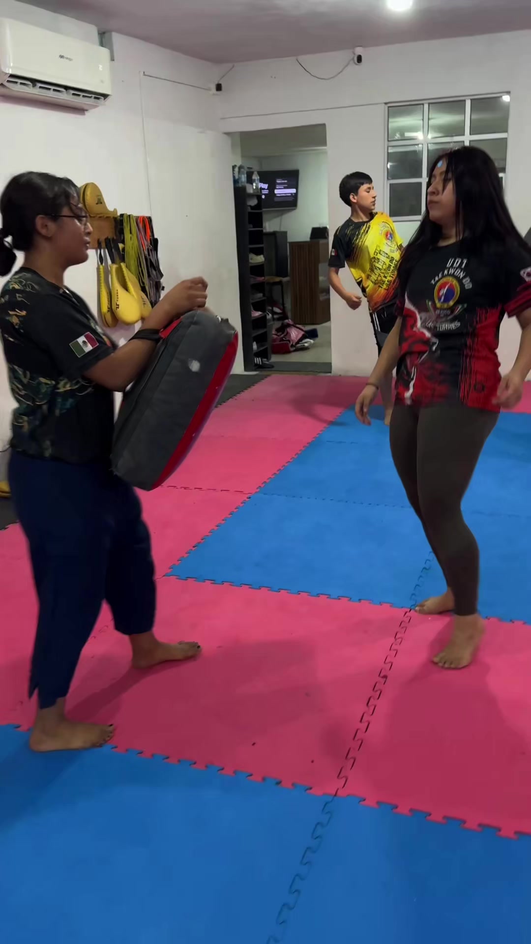 @taekwondolionsteam