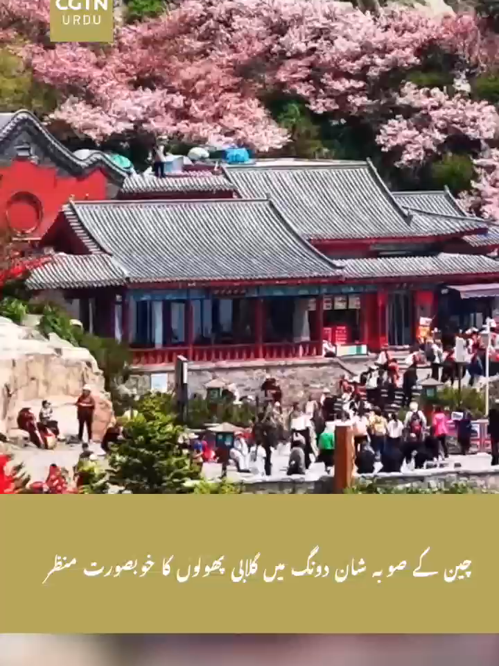 @CGTN URDU