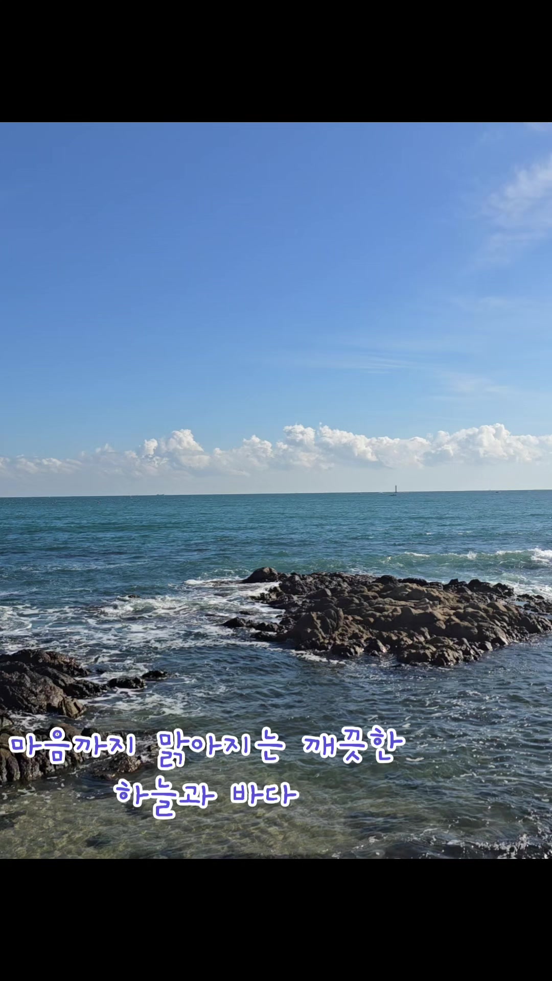 @훨훨~~^@^