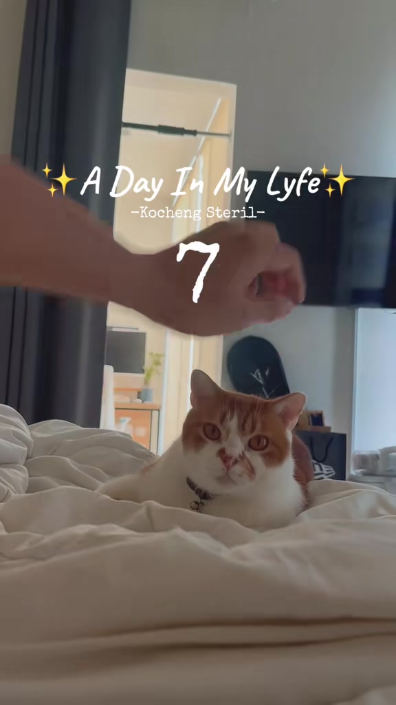 @MEOWOMPONG