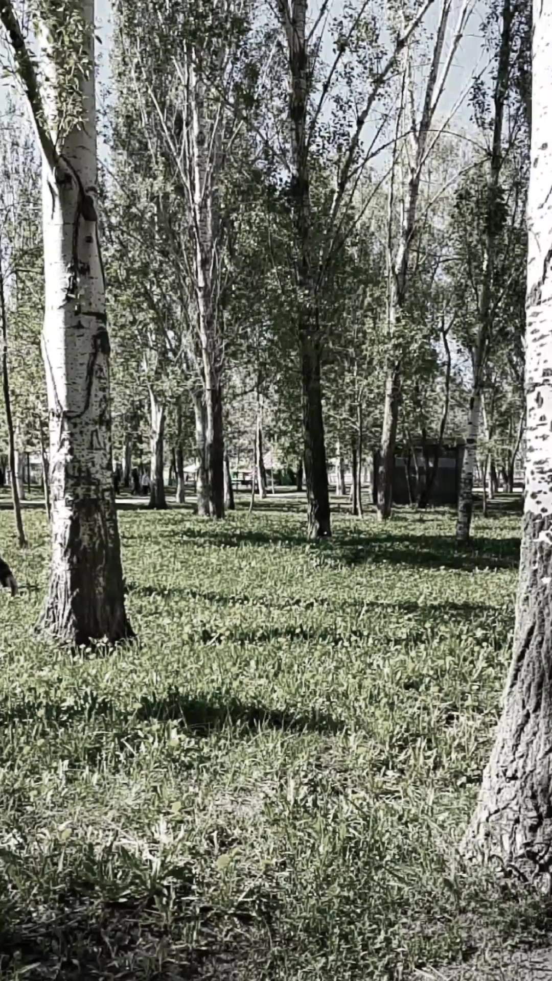 @Эсмеральда ИньДеВанЯнь Христо