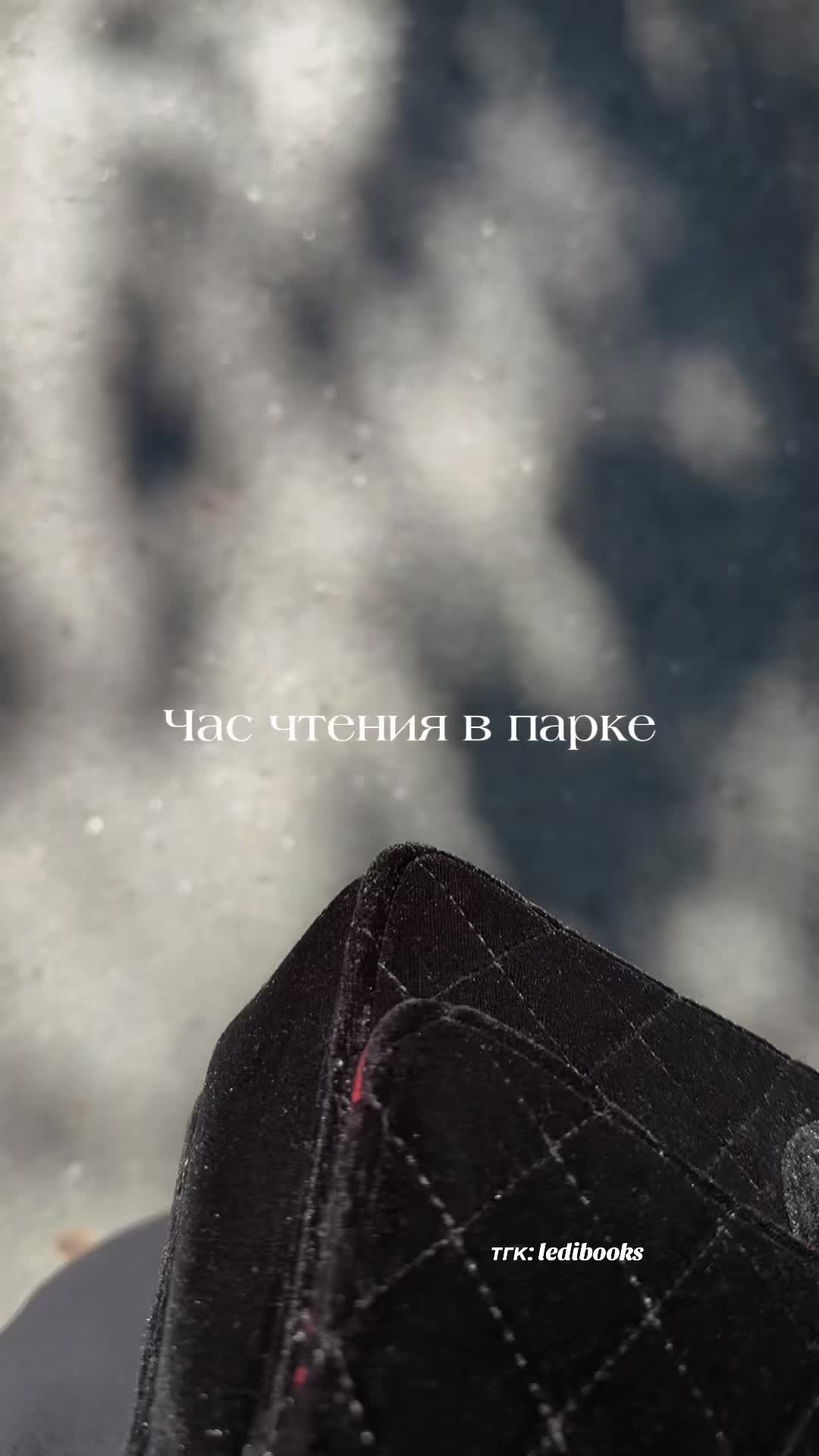 @Леди Букс📚