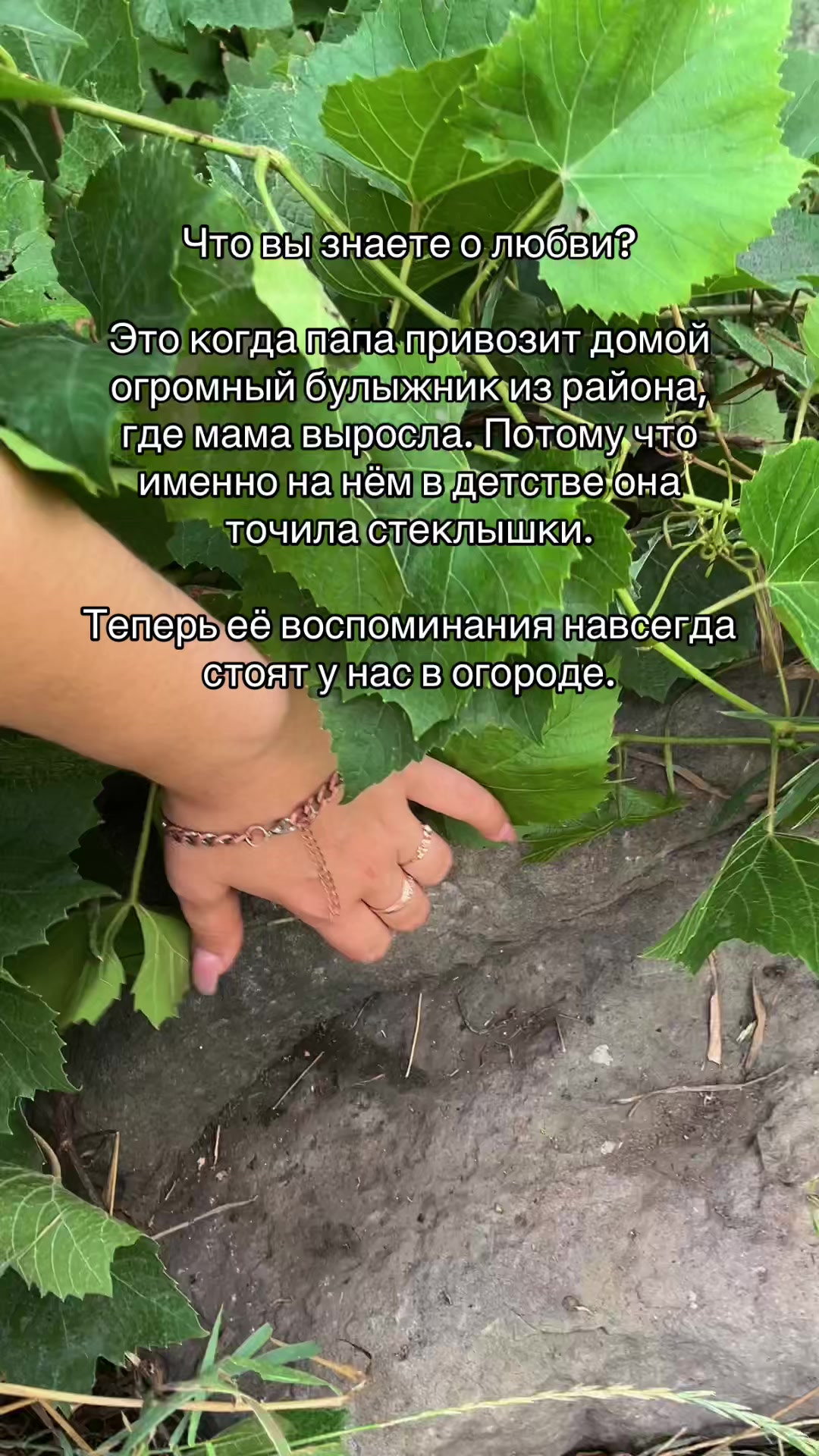 @Zlanya🐰