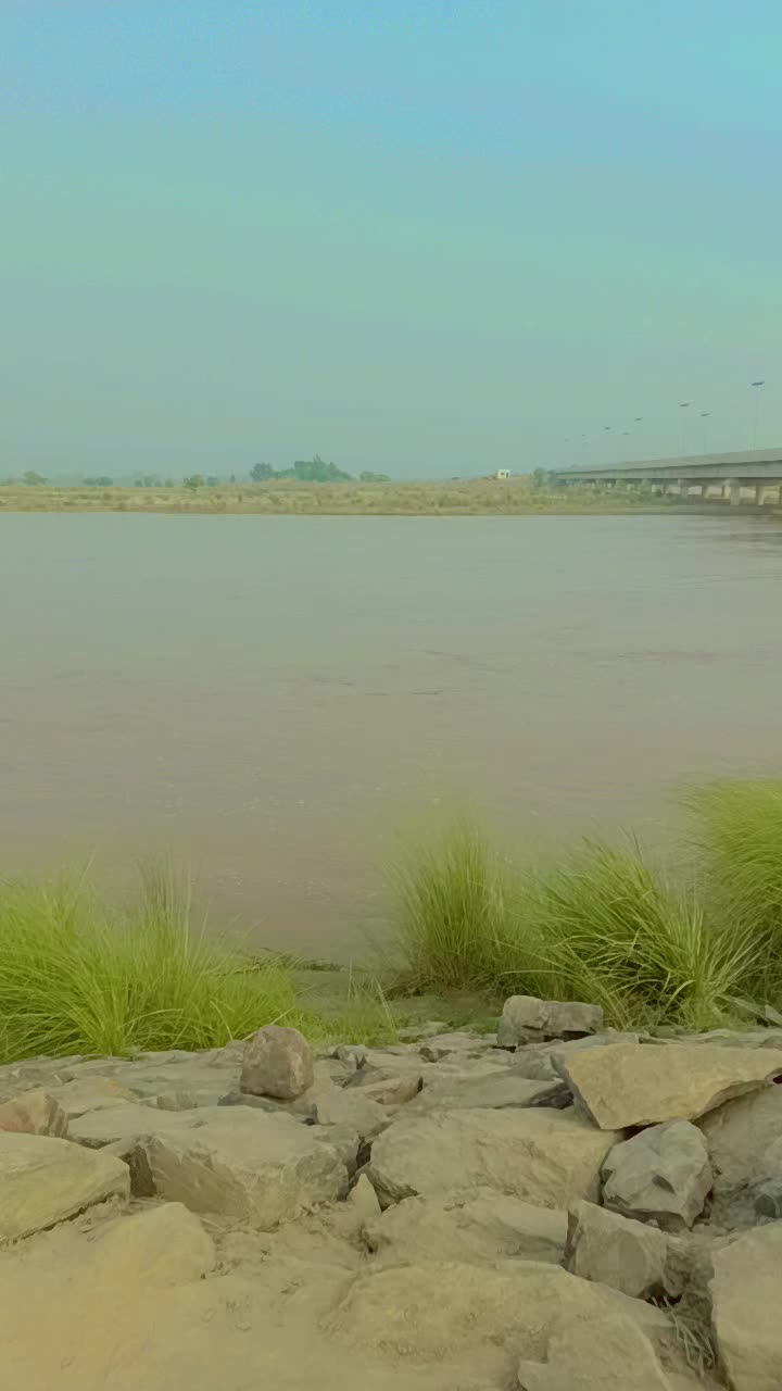 @M Ahsan 786