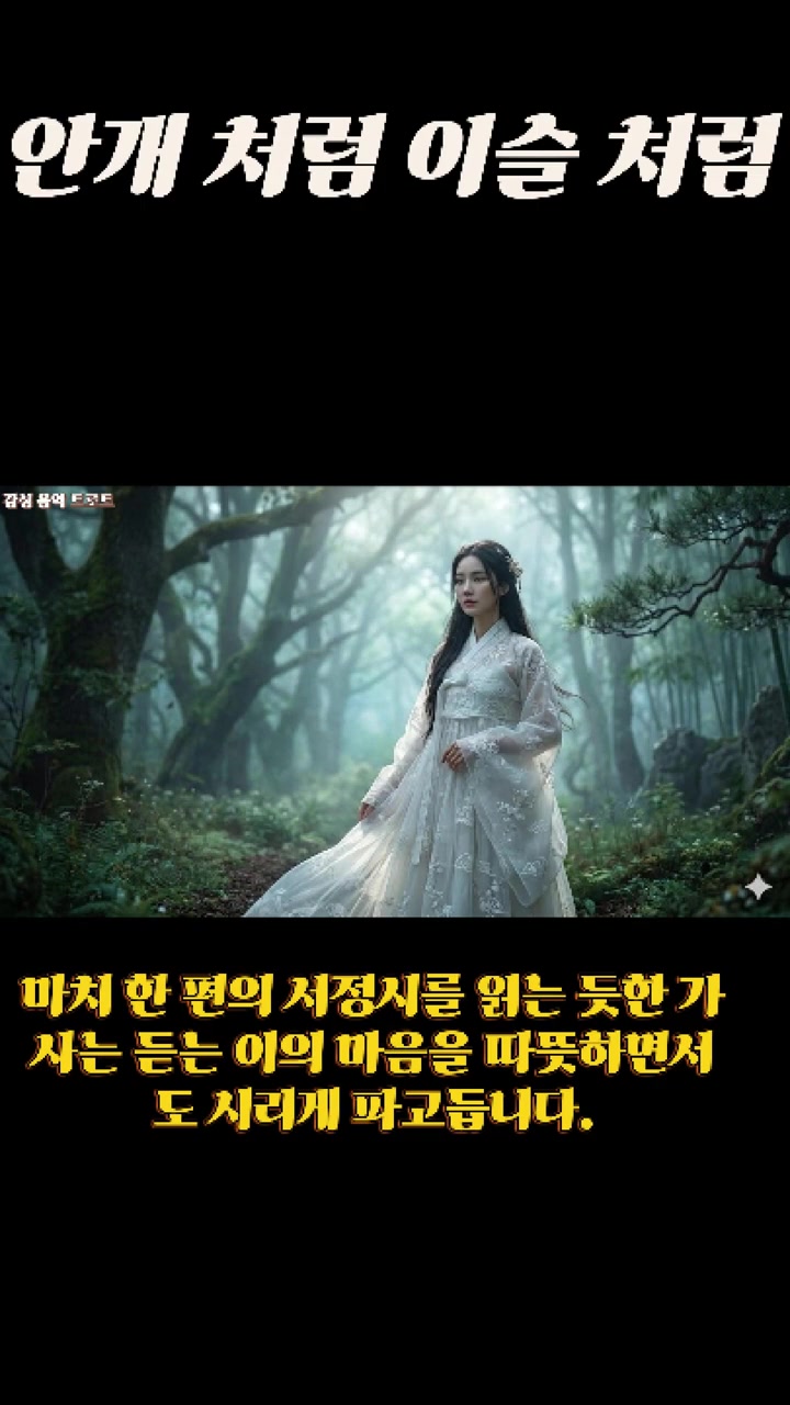 @감성 음악 트로트