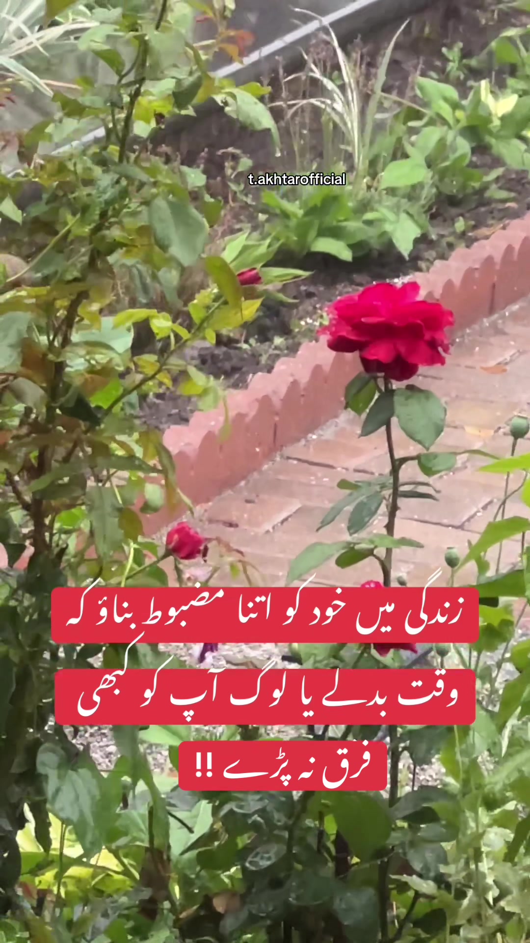 @T.Akhtar Official