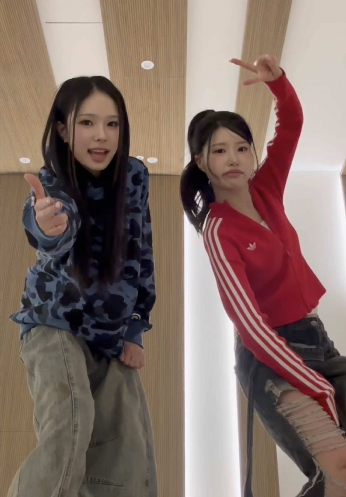 @Candy Shop(캔디샵)