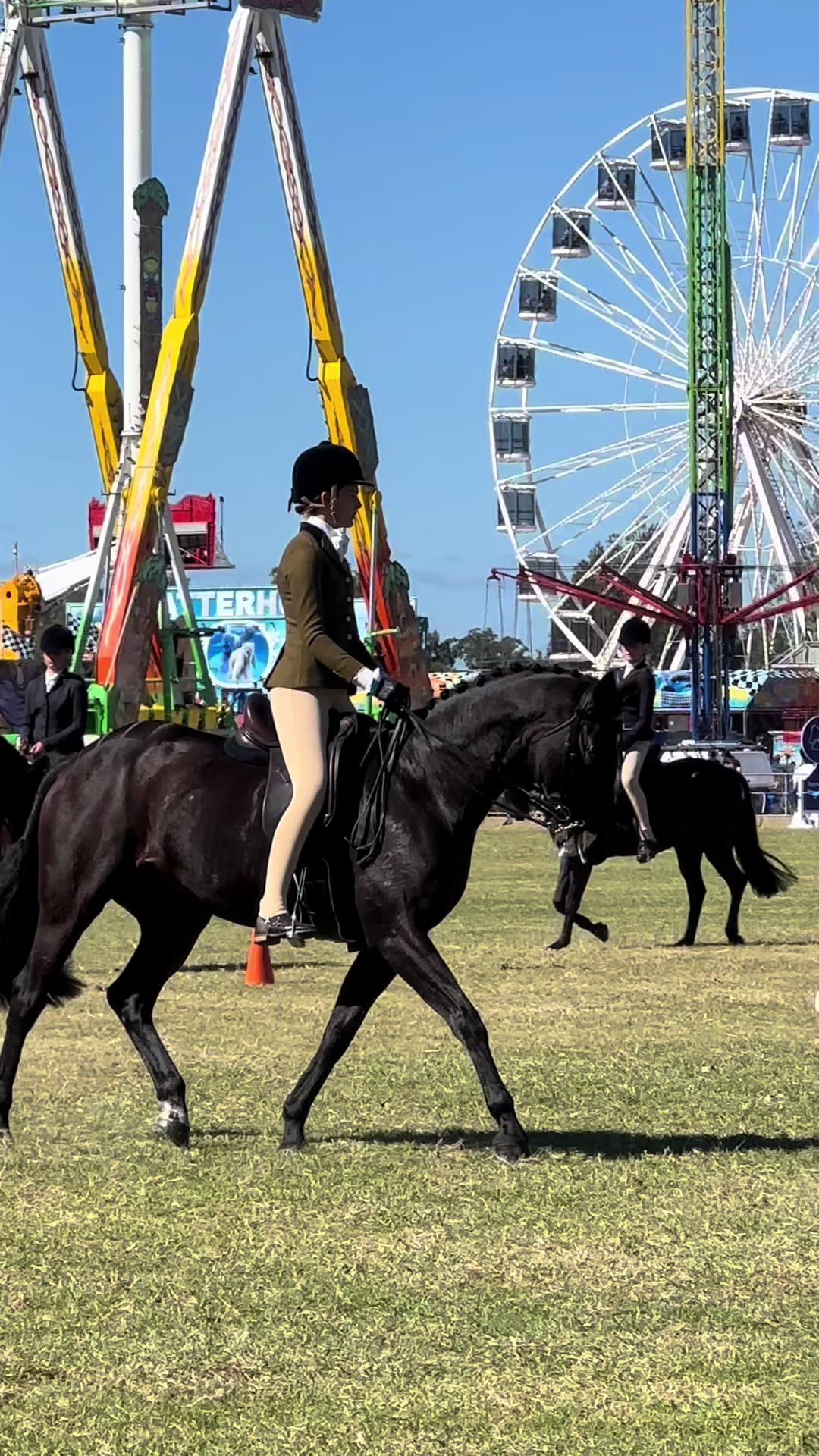 @AR show horses