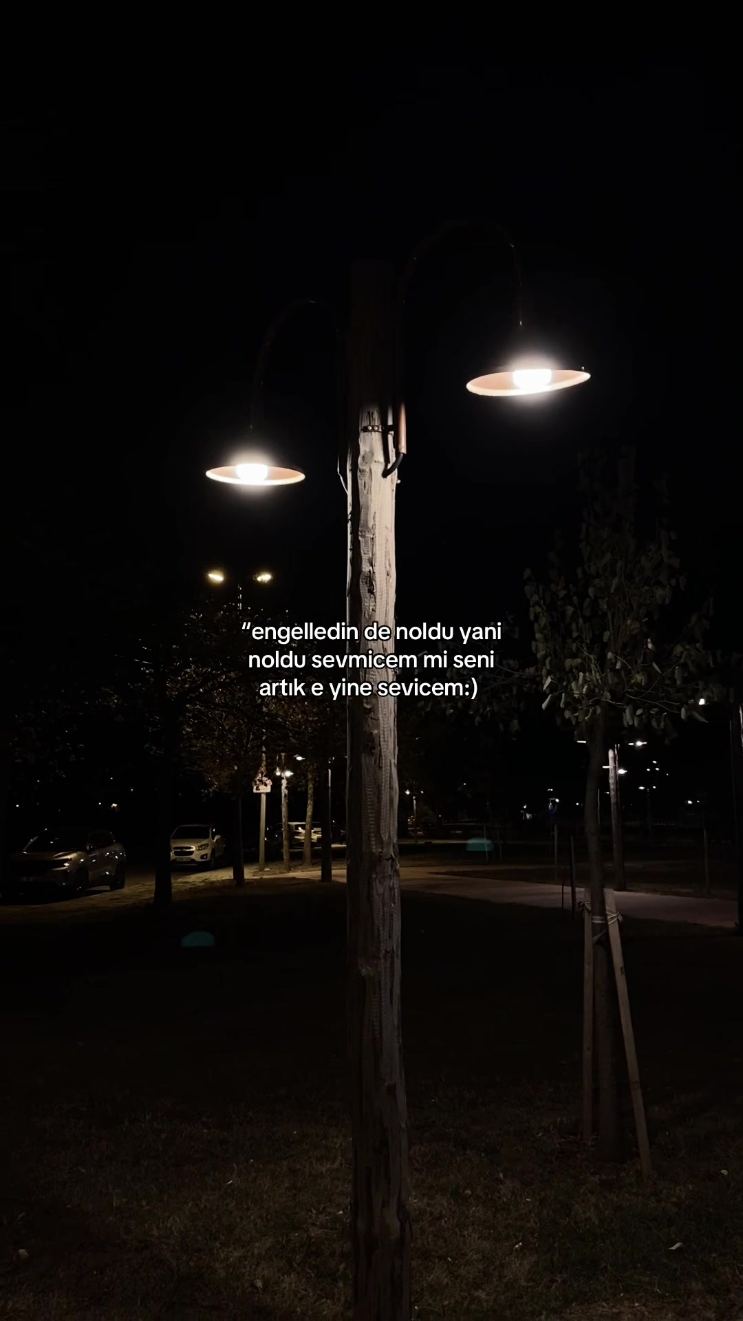 @storiyliks
