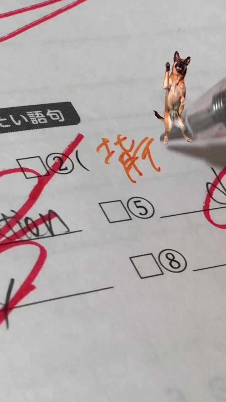 @桐