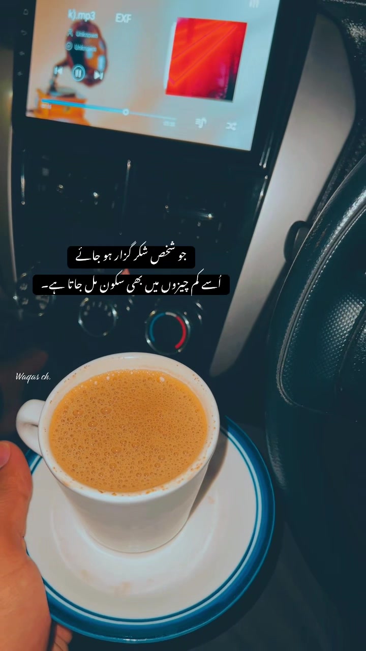 @چائے کے دیوانے❣️