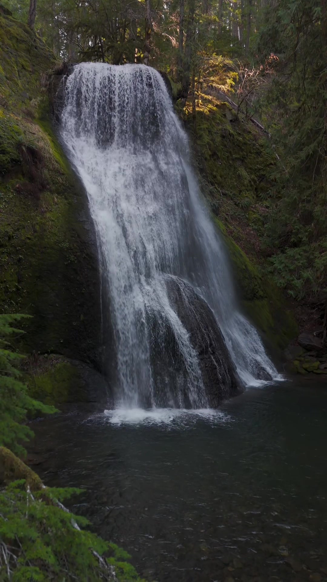 @Badassphotography_PNW