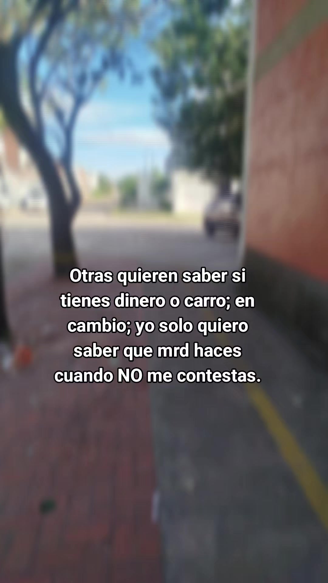 @rositorrez0