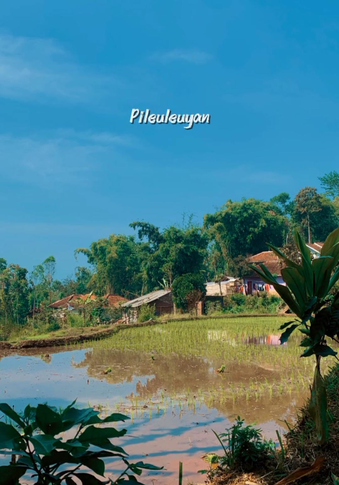 @𝗣𝗲𝘀𝗼𝗻𝗮 𝗗𝗲𝘀𝗮 🍃