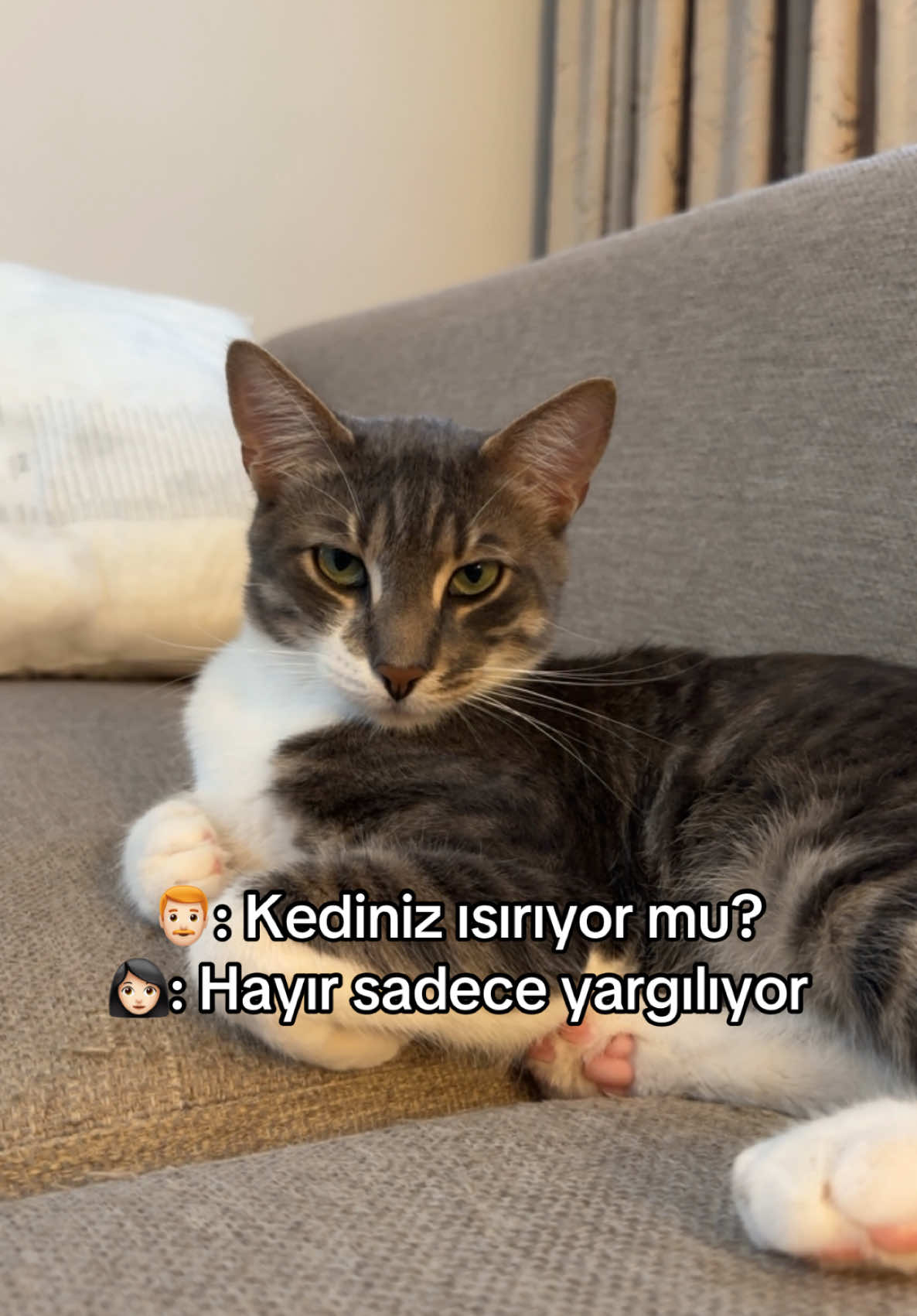 @konusankediminnos