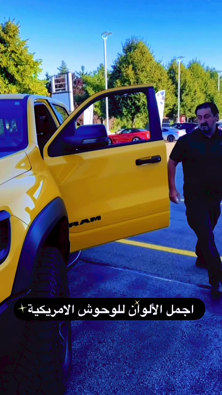 @Canadastallion 🇨🇦 الأصيل