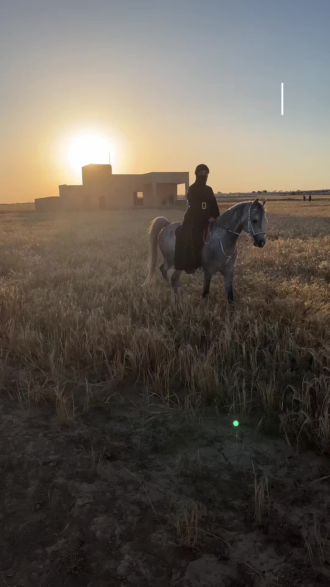 @الفارسة الملثمة 🐎🥷