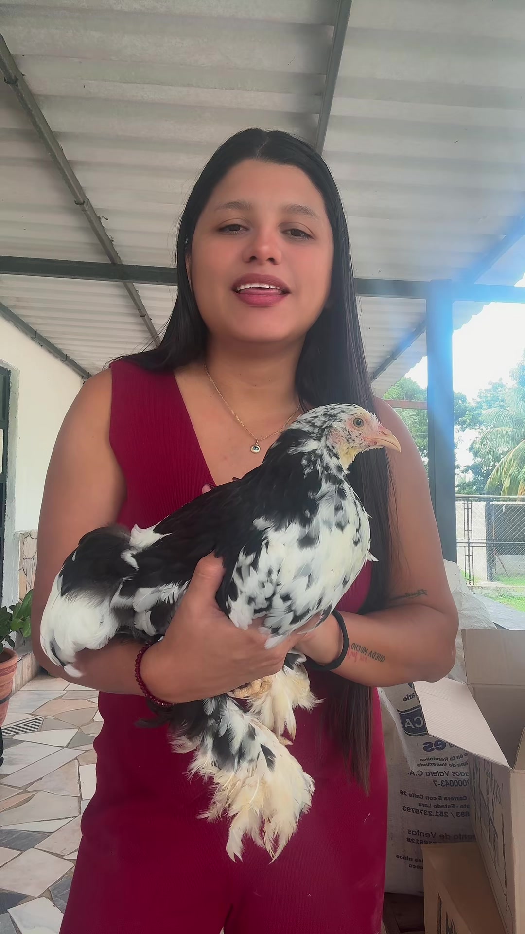@Granjamascotalandiayaracuy