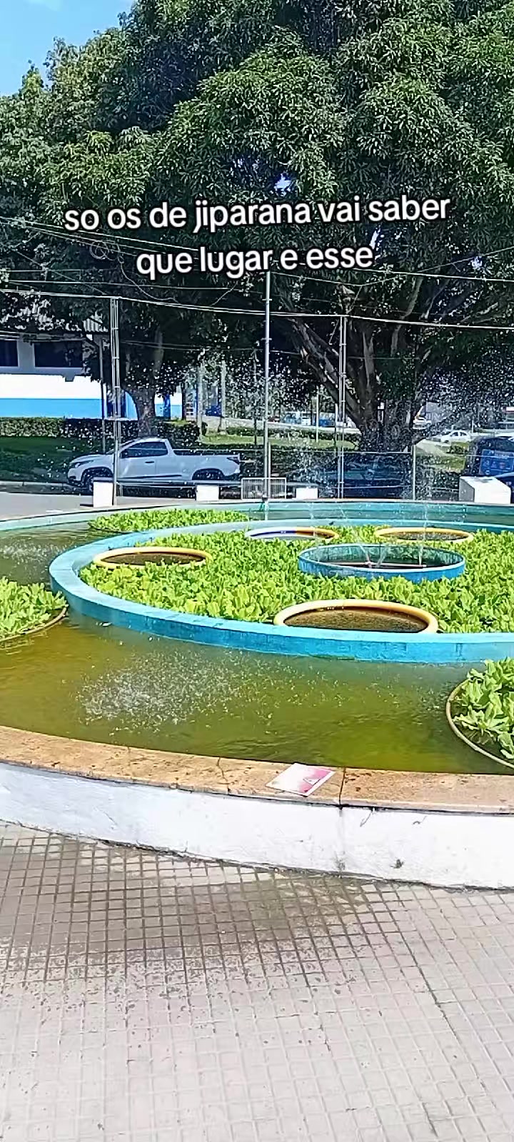@juju..ribeirinha..de..Rond&ocirc;nia