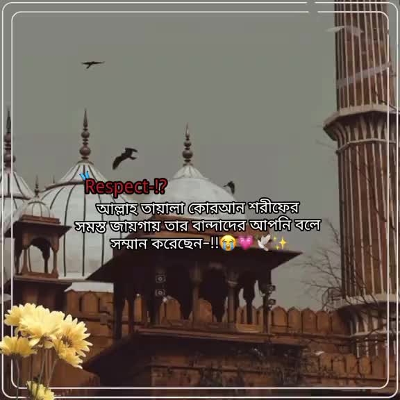 @🕊️🪶Pakhi🕊️🪶