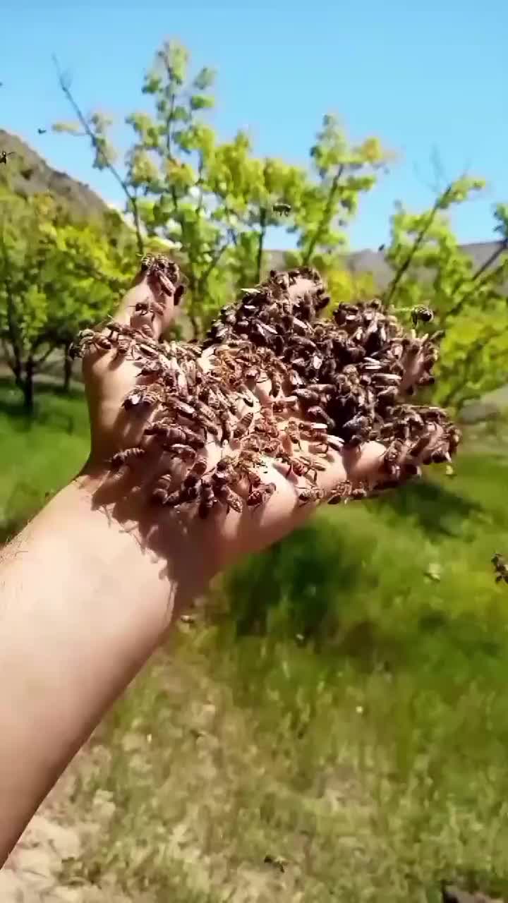 @Çiftliğim Benim