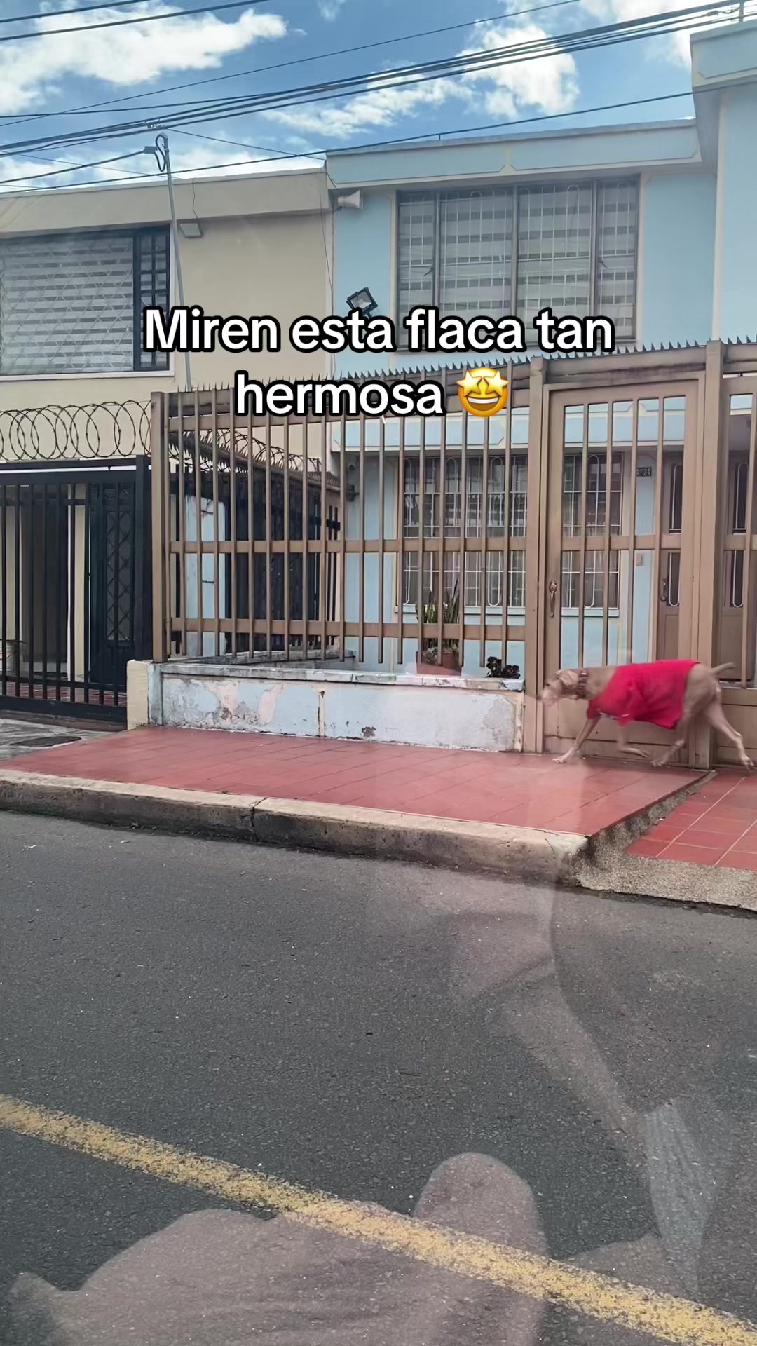 @Adriana L