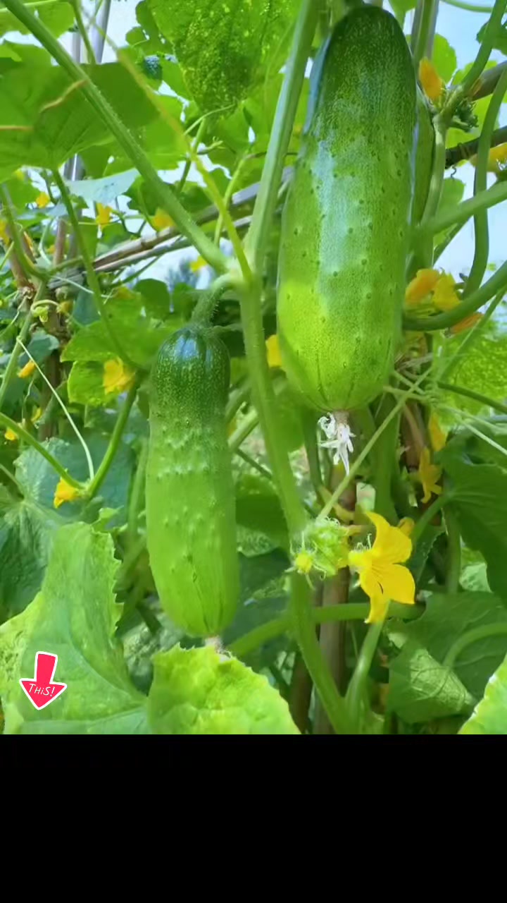 @tới đồ dùng
