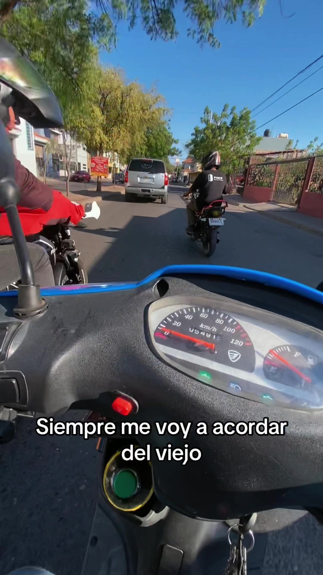 @Celia Pineda