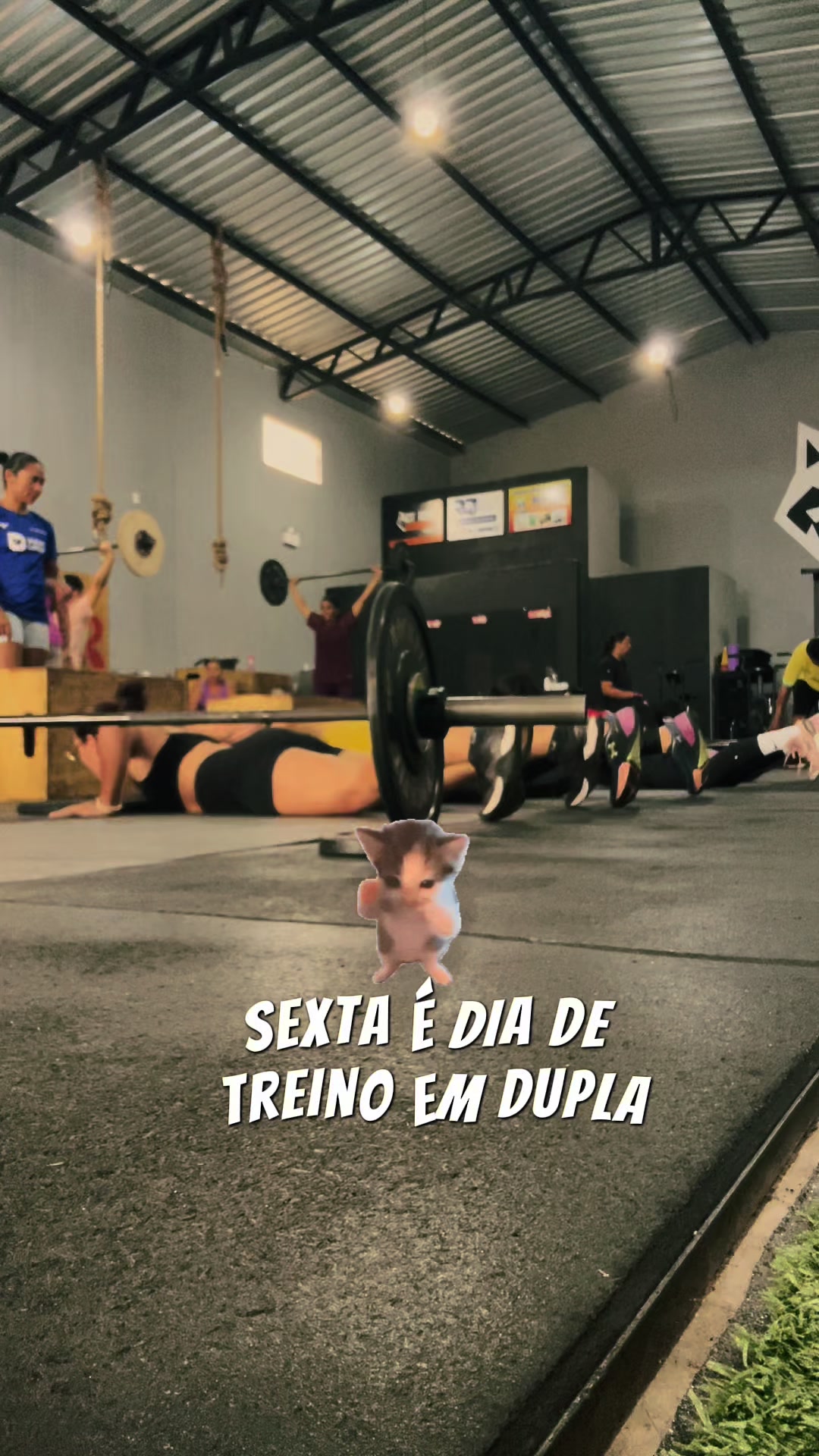 @minemouse