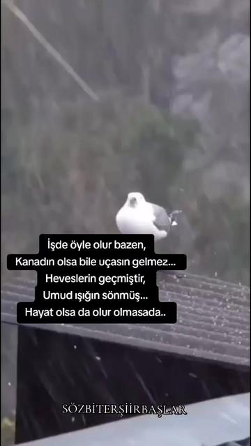 @☪⃝🇹🇷 GÖLGE ☪⃝🇹🇷