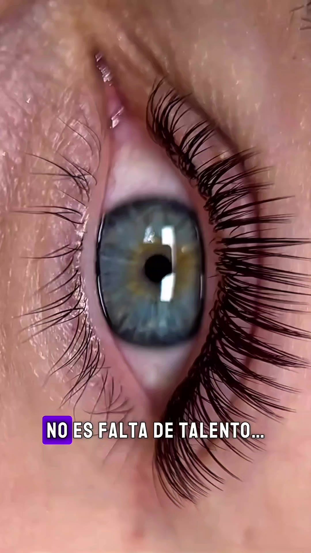 @academiadebellas