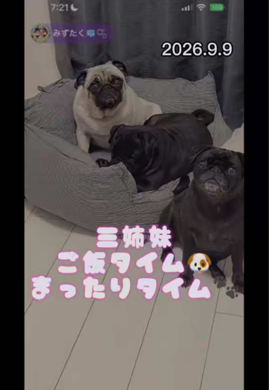 @すずか🧊🫧