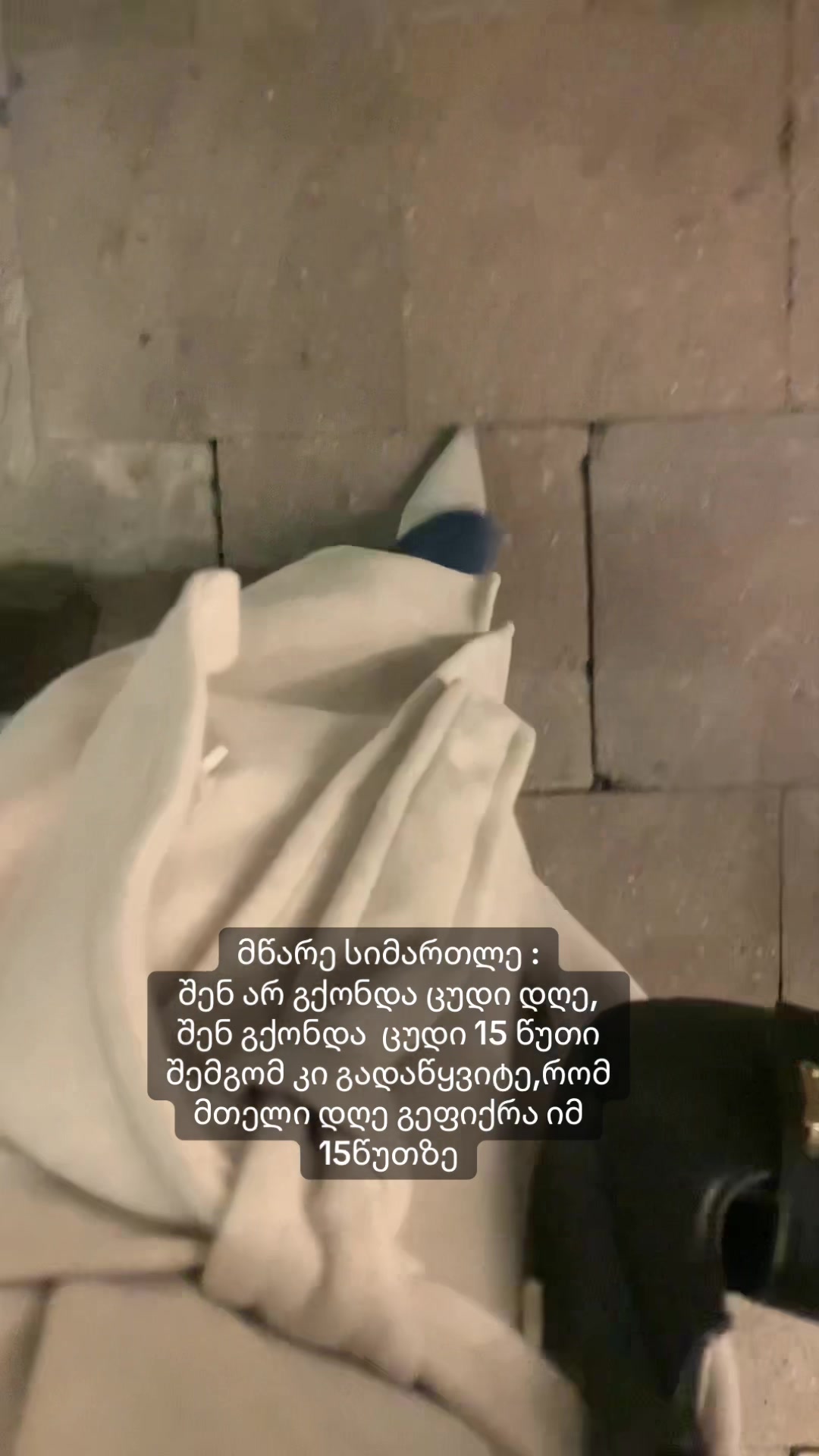 @Lana_ Kolo 🤍🪽