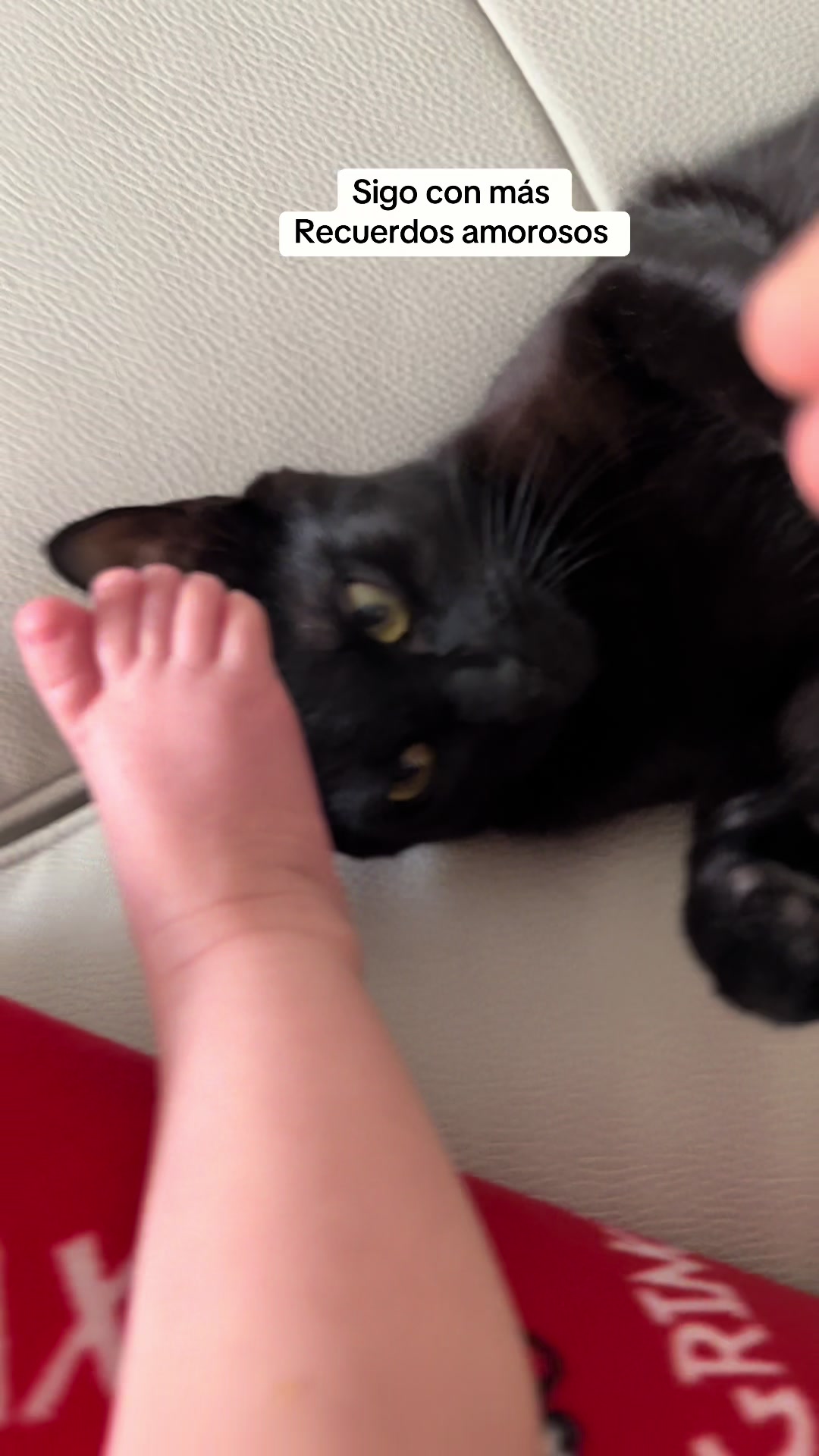 @I’m Kitty 🐈⬛