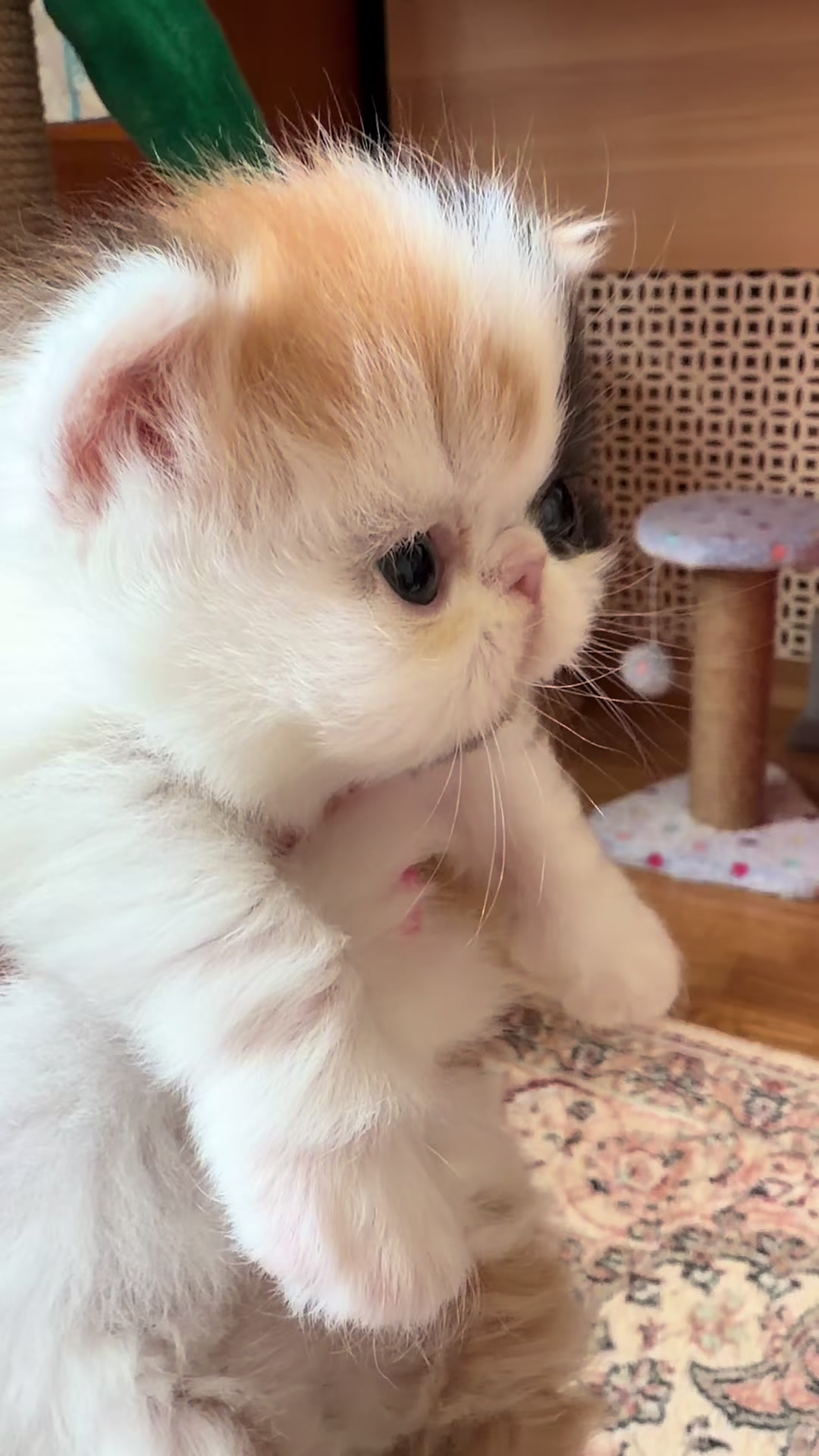 @Alla Yakimenko