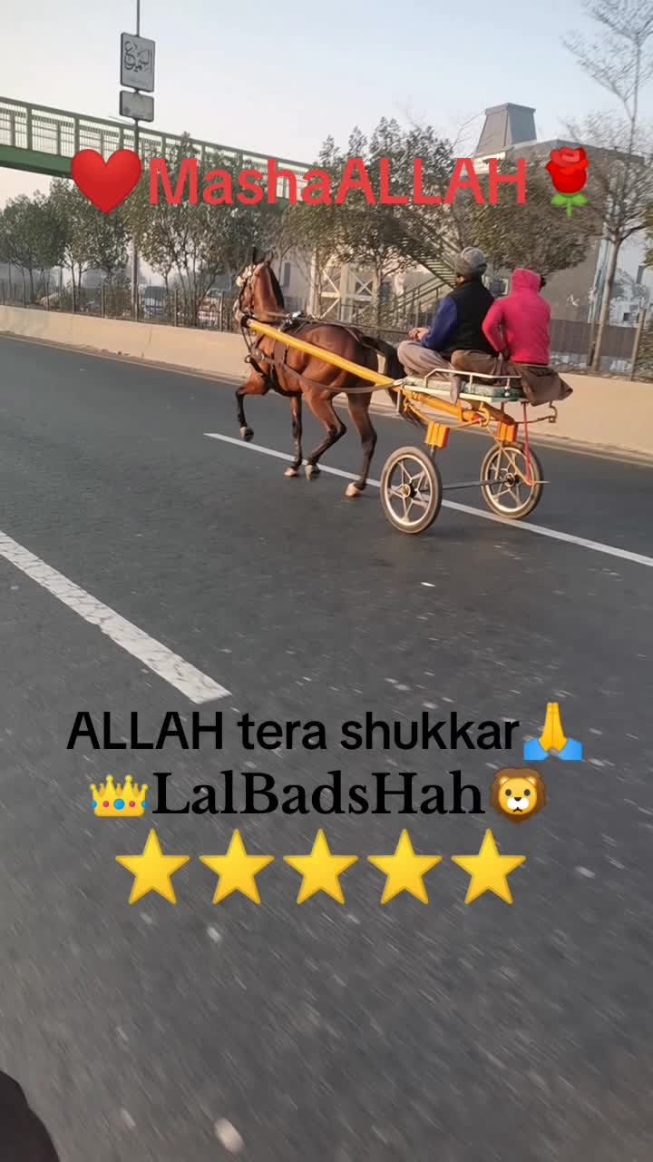 @Badshah-Gujjar