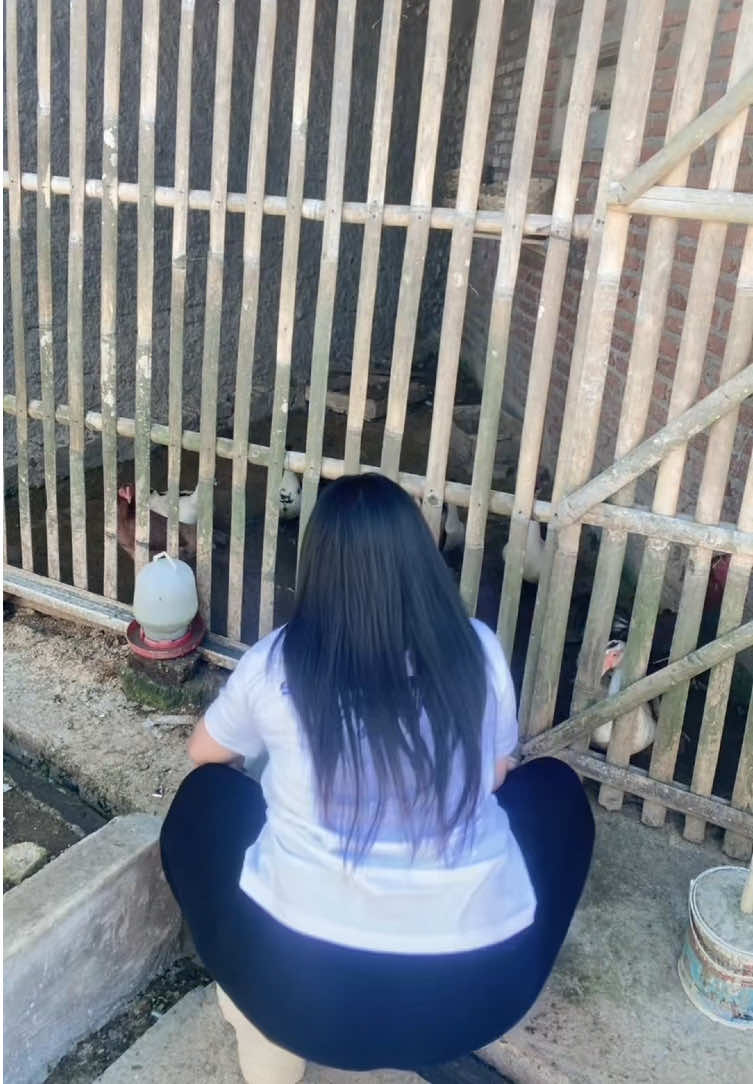 @Ameliaakuu