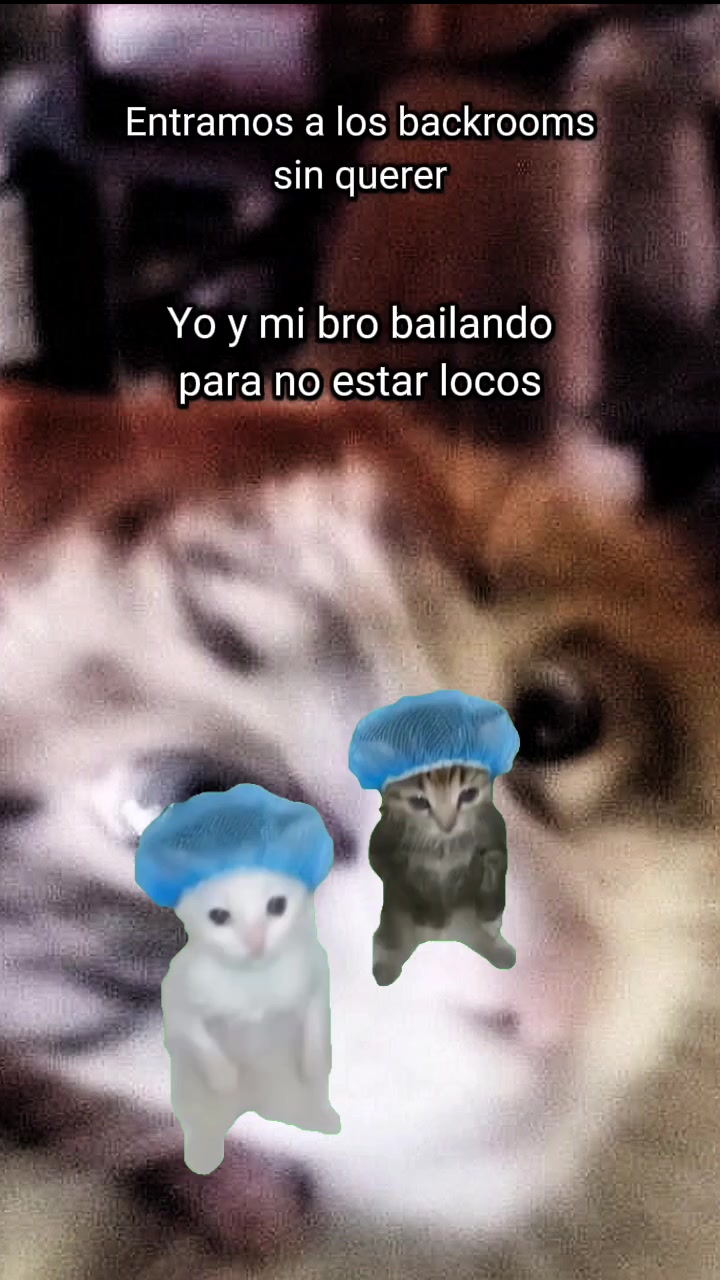 @edwin