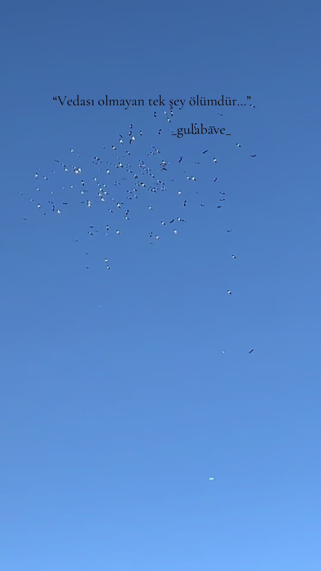 @Gulabave