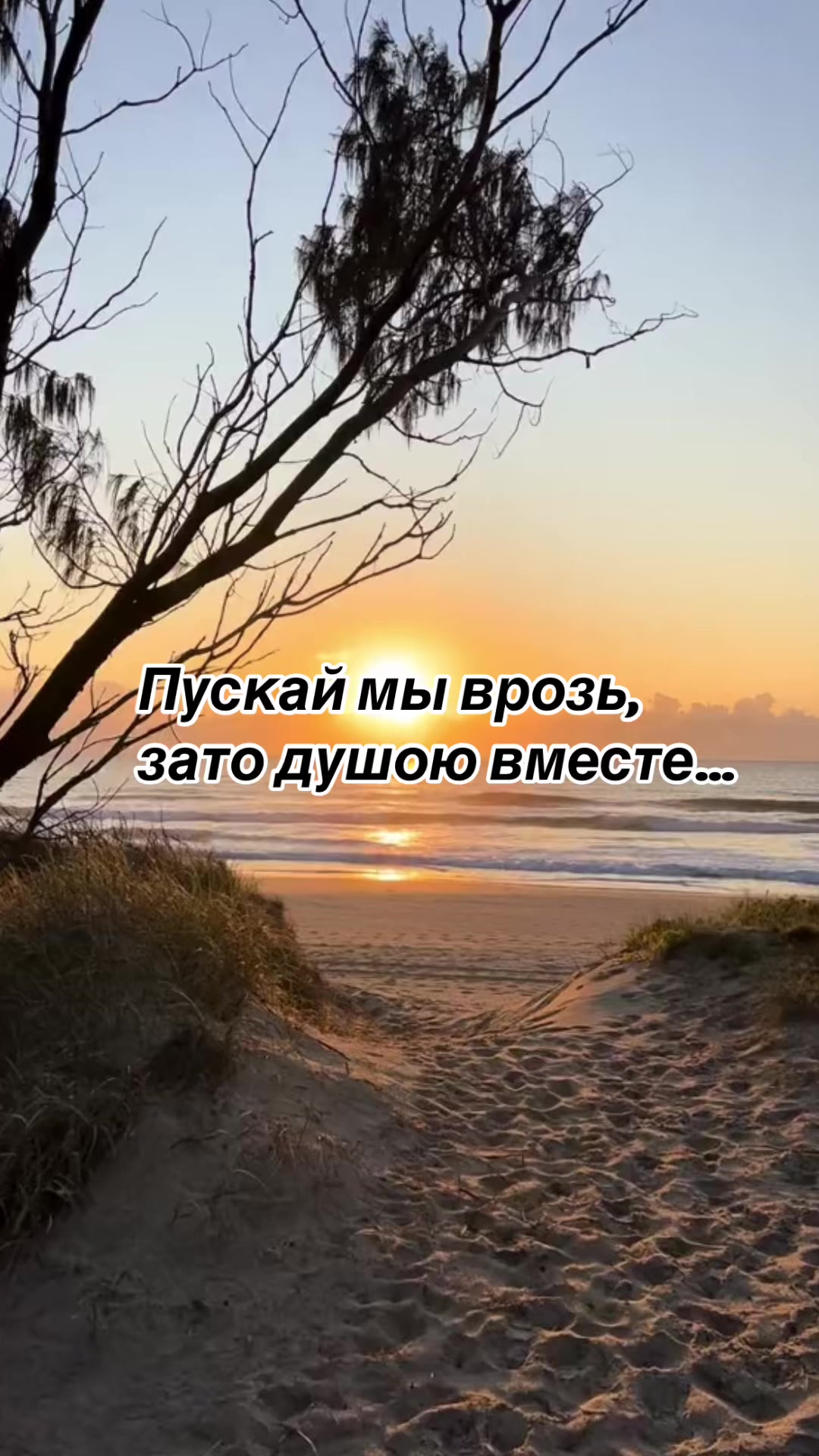 @Елена