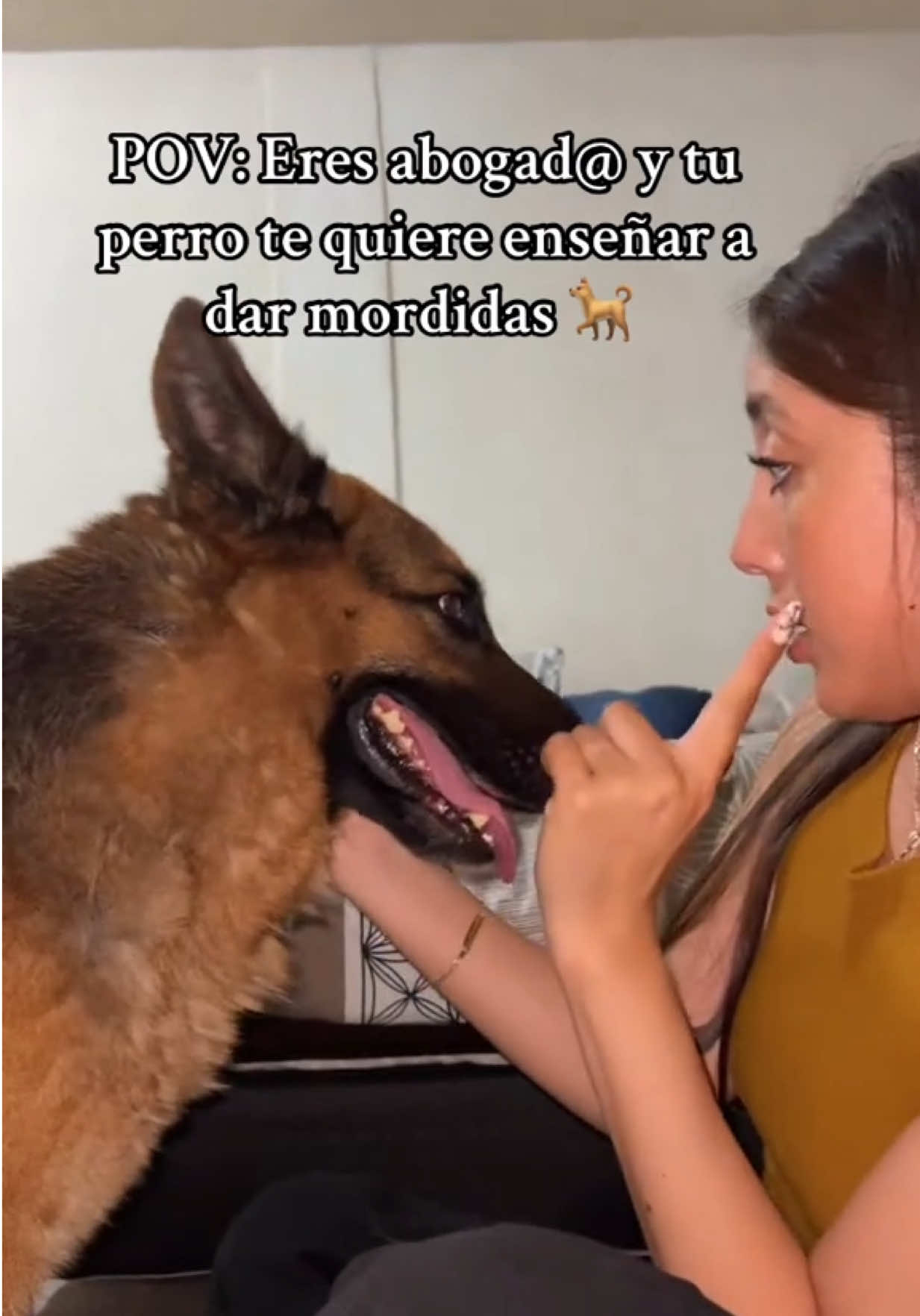 @AlheLic