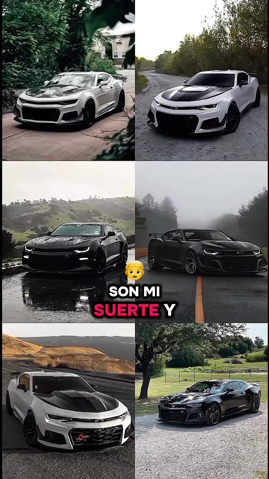 @Ღ┊ 𝔇𝐚𝐲𝐚𝐧𝐚 