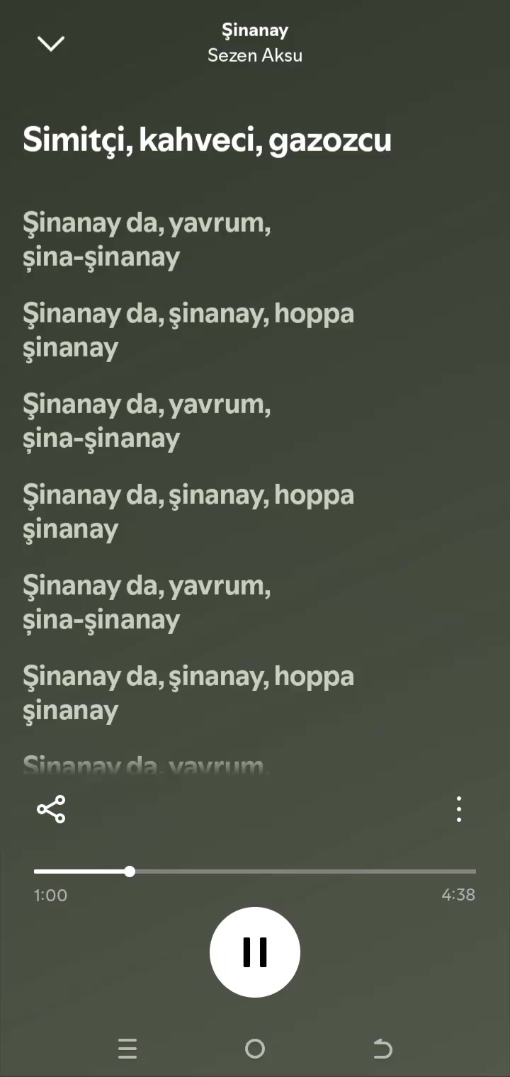 @pro müzik