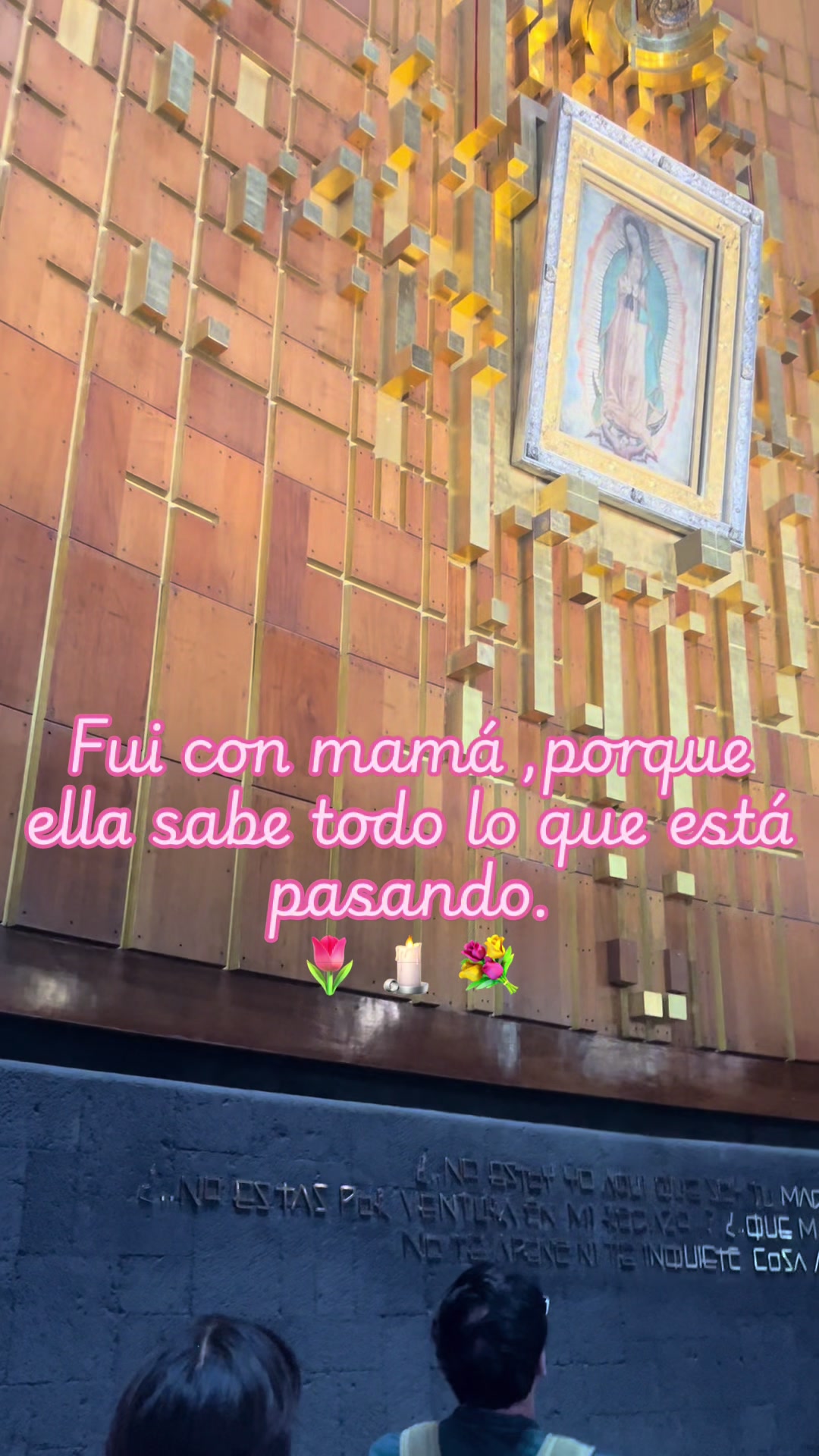 @✨🌷✨