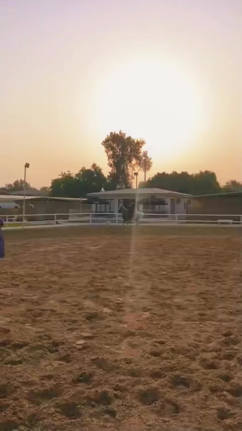 @Bassant El Dowaik