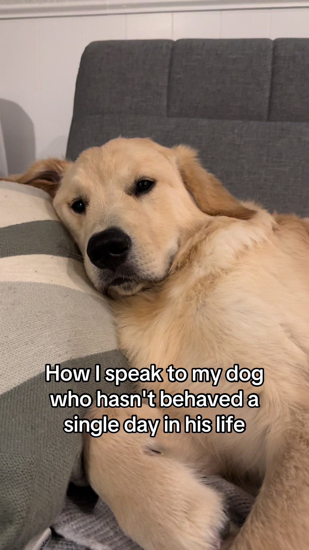 @Nat & Jax