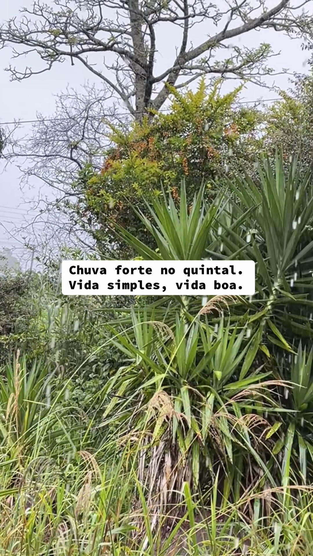 @Rodrigo Rangel | Filmmaker
