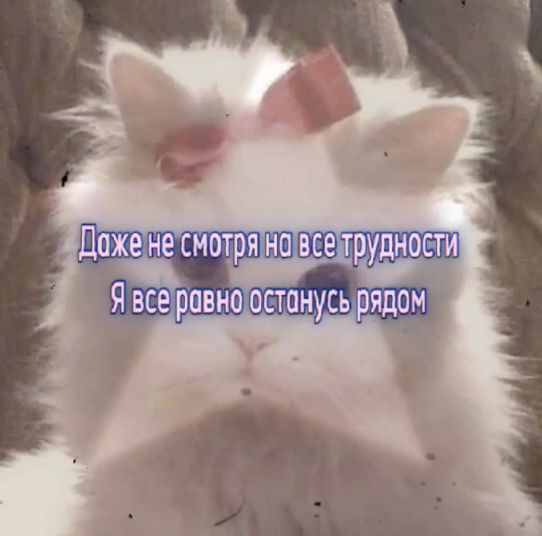@𝓇𝒾𝒷𝒾𝓉
