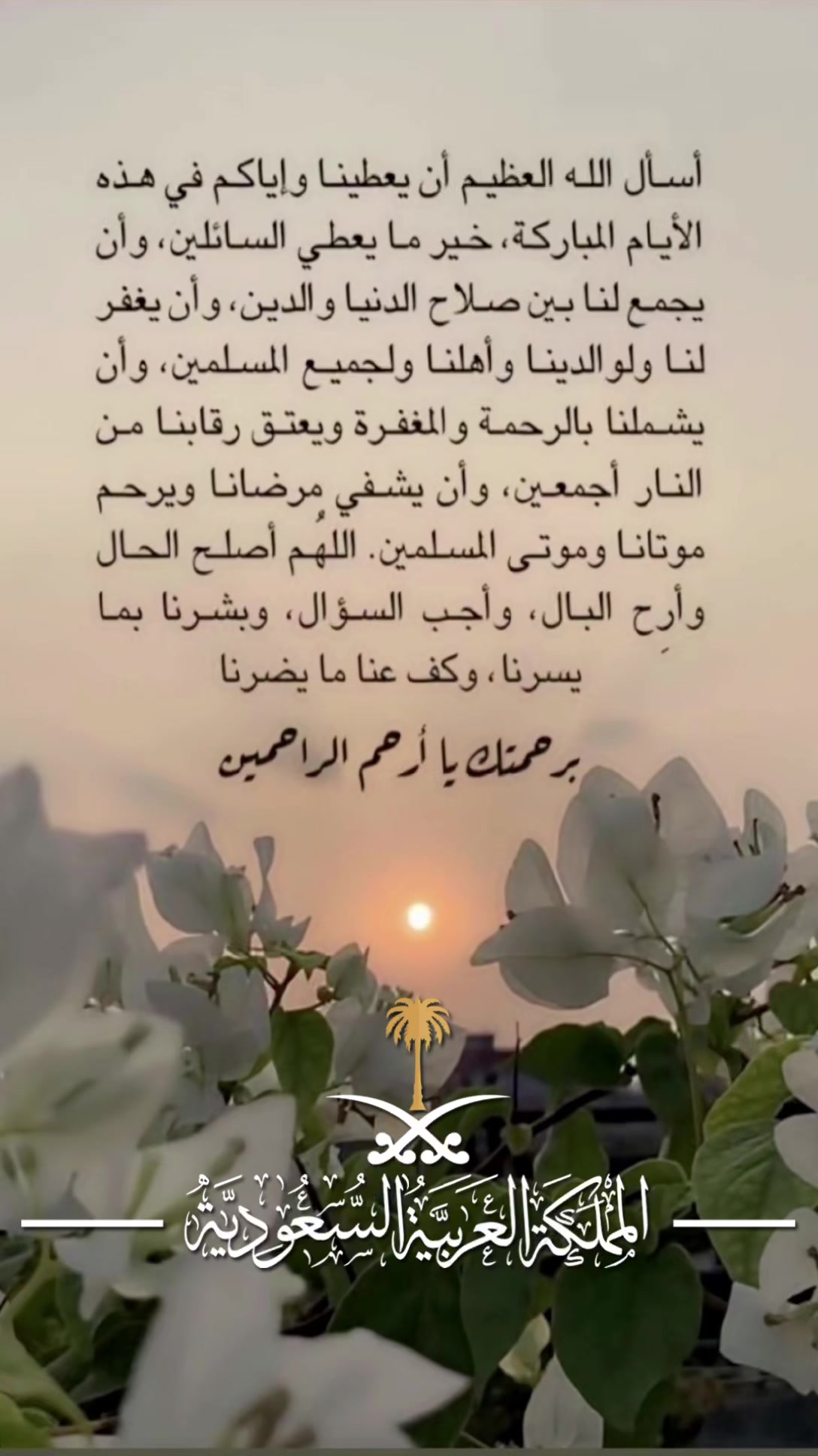 @🎬💚🇸🇦Hamza Almandeli🇸🇦💚