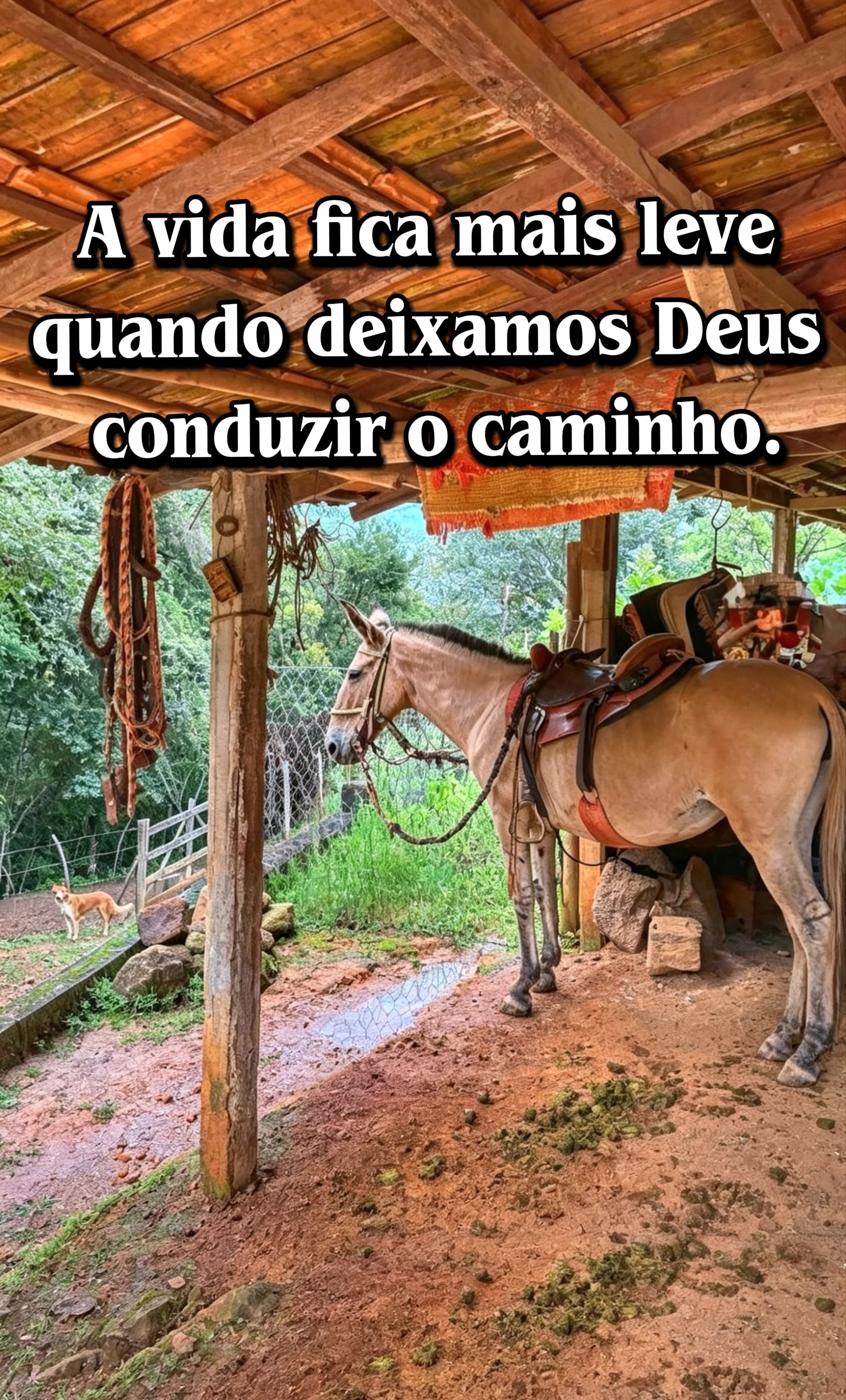 @Raiz da Roça Oficial